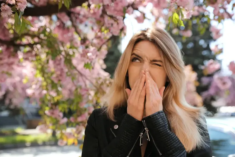 Hay Fever – The Modern Common Ailment of Pollen Allergy