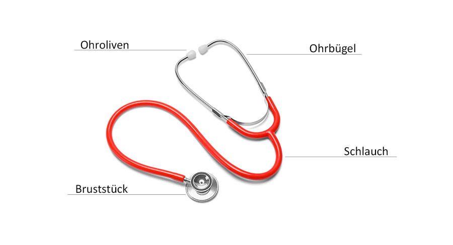 Components of a Stethoscope Components of a Stethoscope