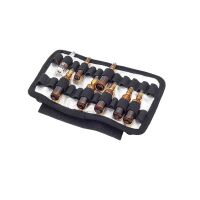 ELITE BAGS AMPOULES Ampoule Kit, Thermoisolated, 20x14x9cm, Red