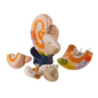 Erler Zimmer Neuro-Anatomical Brain, 2 Times Life Size,...