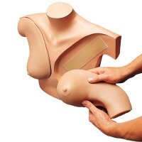 Erler Zimmer Simulator - Breast Self Examination
