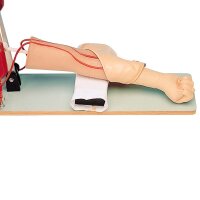Erler Zimmer Simulator - Injection Practice Arm, Highly...