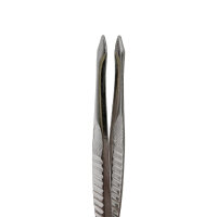 Behrend tweezers, nickel plated 8 cm, various tips