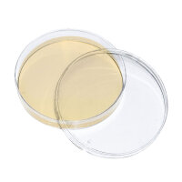 MegroPlate Prepared nutrient, SABOURAUD 2% glucose agar,...