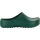 Super Birki, made of polyurethane, by Birkenstock, green, various sizes