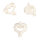 Erler Zimmer Male Vertebral Models from C1 to L5