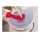 Erler Zimmer lumbar model with disc herniation, can be dismantled