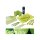Euronda Monoart Dental Equipment, Treatment Set, different colours