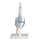 Erler Zimmer Knee joint + ligaments model, mobile, with/without stand