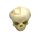 Erler Zimmer fetus skull anatomy model, different. Development Weeks
