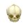 Erler Zimmer fetus skull anatomy model, different. Development Weeks