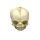 Erler Zimmer fetus skull anatomy model, different. Development Weeks