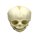 Erler Zimmer fetus skull anatomy model, different. Development Weeks