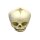 Erler Zimmer fetus skull anatomy model, different. Development Weeks