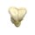 Erler Zimmer fetus skull anatomy model, different. Development Weeks