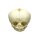 Erler Zimmer fetus skull anatomy model, different. Development Weeks