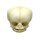 Erler Zimmer fetus skull anatomy model, different. Development Weeks