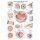 Erler Zimmer "The human eye" anatomical posters, size choice