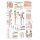 Erler Zimmer anatomical chart "osteoporosis", diff. Sizes