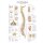 Erler Zimmer The Spine Anatomical Posters, diff. Sizes