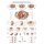 Erler Zimmer "pelvic floor" Instructional panel, size choice