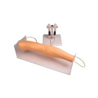Erler Zimmer Training Arm 7020 for Intravenous Injection,...