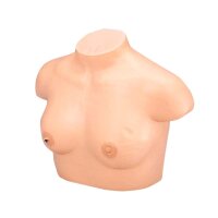 Erler Zimmer - Breast Cancer Palpation Model,...