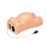 Erler Zimmer Model - Pregnancy Examination w. Heartbeat...
