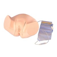 Erler Zimmer Simulator - Catheterisation Model, Female