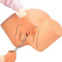 Erler Zimmer - Matching Lower Torso f. Simulation Modules...