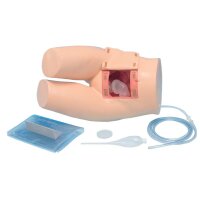 Erler Zimmer - Enema Training Model, Lower Torso