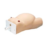 Erler Zimmer - External Cephalic Version Model