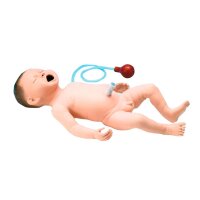 Erler Zimmer Trainer - Intubation and Reanimation Neonate