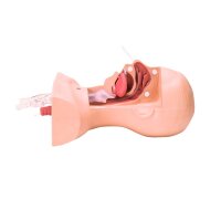 Erler Zimmer Training Model - Nasal and Oral Suctioning...