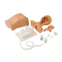 Erler Zimmer Training Model - Suction/Tube Feeding