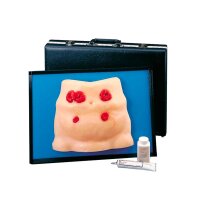 Erler Zimmer Simulator - Ostomy Care, 4 Stomas