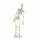 Erler Zimmer Miniature Skeleton, Different Variants