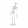 Erler Zimmer Miniature Skeleton, Different Variants