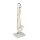 Erler Zimmer Miniature Spinal Column, Different Variants