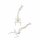 Erler Zimmer Vertebral Column w. Pelvis/Femoral Stumps, Diff. Variants