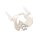 Erler Zimmer Female Pelvis/Sacrum/Lumb. Vertebrae/Stumps Diff. Var.