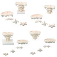 Erler Zimmer Head Articulations, Different Variants