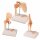 Erler Zimmer Miniature Joint with Cross Section/ Diff. Variants