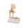 Erler Zimmer Miniature Joint with Cross Section/ Diff. Variants