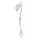 Erler Zimmer Skelton of Arm with Shoulder Girdle, Different Variants