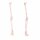 Erler Zimmer Leg Skeleton, Dismountable, with/without Muscle Markings