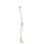 Erler Zimmer Leg Skeleton, Dismountable, with/without Muscle Markings