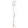 Erler Zimmer Leg Skeleton Incl. Half Pelvis, w/without Muscle Markings
