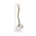 Erler Zimmer Flexible Vertrebral Column, Different Variants