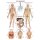 Erler Zimmer Anatomical Chart "Lymphatic System", Different Sizes